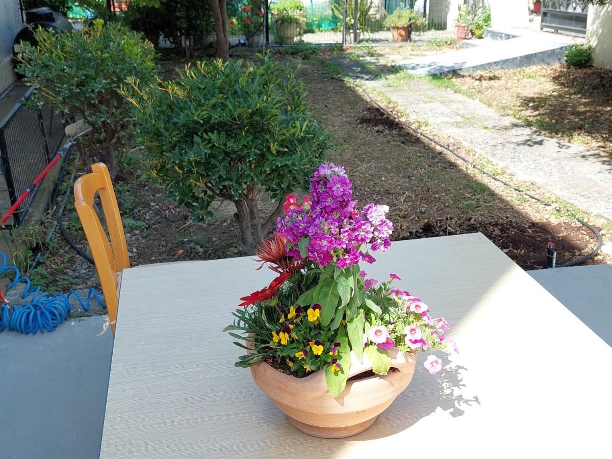 Sonia Casa de férias Chrissi Akti Chania